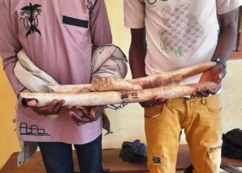 TRAITé INTERDICTION ARMES NUCLéAIRES:  Le plaidoyer de WILPF-Togo