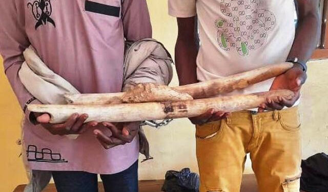 TRAITé INTERDICTION ARMES NUCLéAIRES:  Le plaidoyer de WILPF-Togo