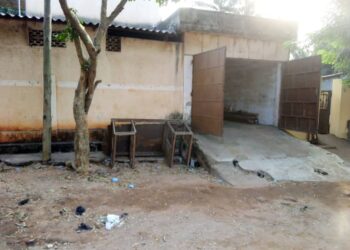 Acouphènes : une appli pourrait atténuer la douleur de ceux qui en souffrent