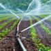 Irrigation au Togo : le contraste avec les chiffres
