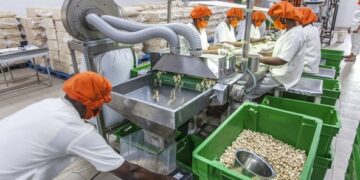 Projet de transformation agro-industrielle du togo : Les détails d’un nouveau coup de pouce de la BAD